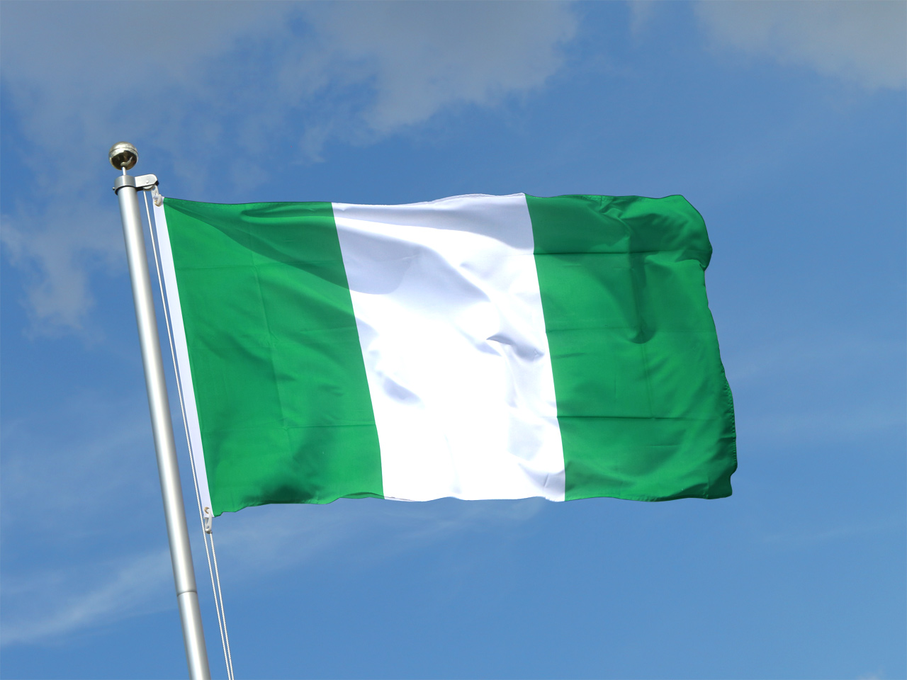 Flagge Nigeria Zum Ausdrucken Nigeria Flag Nigeria Flag Nigeria 