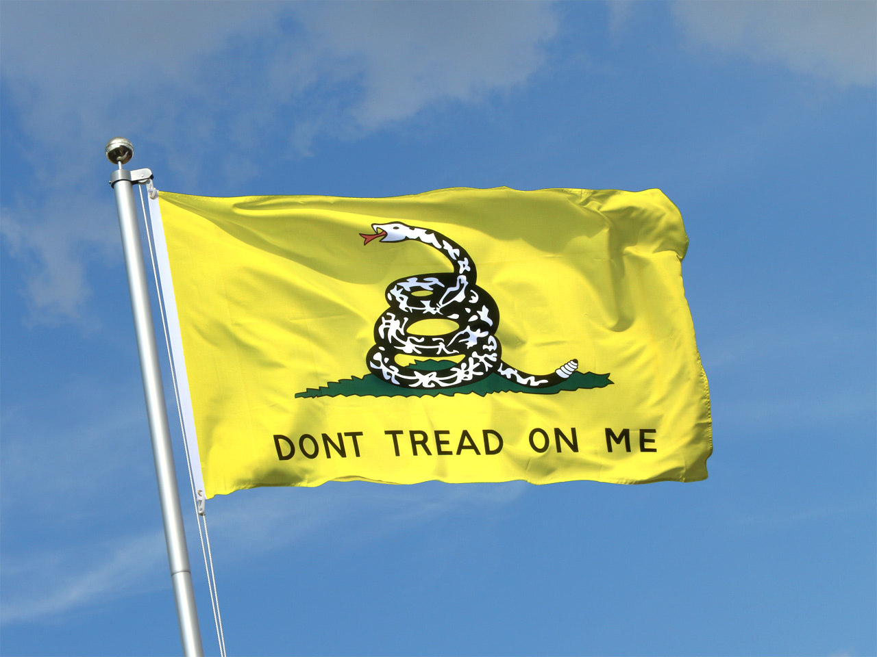 What Is The Dont Tread On Me Flag