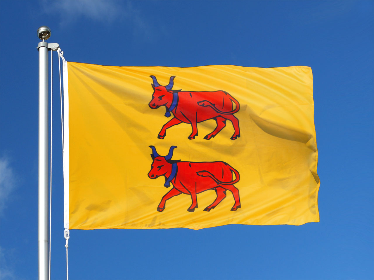 Pavillon Drapeau B arn 100x150 Monsieur des Drapeaux