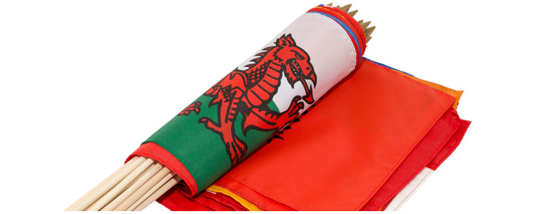 Kit drapeaux sur hampes 30 x 45 cm Euro 2016