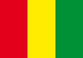 Guinea Fahne