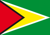 Guyana Fahne