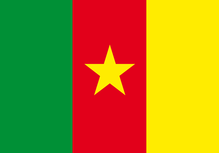 cameroun-drapeau
