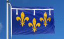 Orléanais - Flag PRO 100 x 150 cm