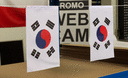 Corée du Sud - Fanion 15 x 22 cm