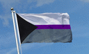 Demisexuell Flagge 90 x 150 cm