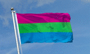 Polysexualität Flagge 90 x 150 cm