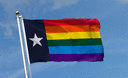 Regenbogen Texas Flagge 90 x 150 cm