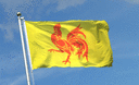 Wallonien - Flagge 90 x 150 cm