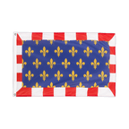 Touraine - Grommet Flag PRO 2x3 ft