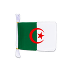 Algeria Flag Bunting 6x9", 3 m