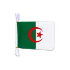 Mini Guirlande fanion Algérie 15 x 22 cm, 3 m