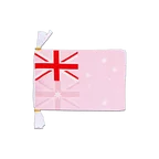 Australia Pink Flag Bunting 6x9", 3 m