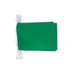 Mini Guirlande fanion Vert 15 x 22 cm, 3 m