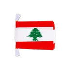 Mini Guirlande fanion Liban 15 x 22 cm, 3 m