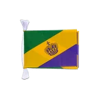 Mardi Gras Flag Bunting 6x9", 3 m