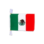 Mexico Flag Bunting 6x9", 3 m