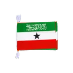 Somaliland Flag Bunting 6x9", 3 m