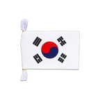 Mini Guirlande fanion Corée du Sud 15 x 22 cm, 3 m