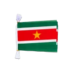 Suriname Flag Bunting 6x9", 3 m