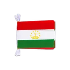 Mini Guirlande fanion Tadjikistan 15 x 22 cm, 3 m