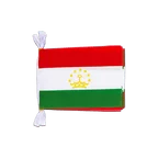 Tajikistan Flag Bunting 6x9", 3 m