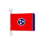 Tennessee Fahnenkette 15 x 22 cm, 3 m