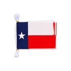 Texas Mini Guirlande fanion 15 x 22 cm, 3 m