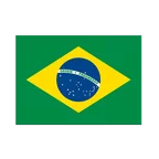 Autocollant drapeau Brésil 7 x 10 cm, 5 pcs
