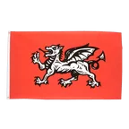 England Weißer Drache Flagge 90 x 150 cm