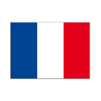France Autocollant drapeau 7 x 10 cm, 5 pcs