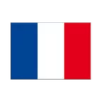 Autocollant drapeau France 7 x 10 cm, 5 pcs