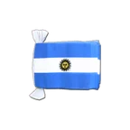 Argentina Flag Bunting 6x9", 9 m