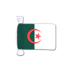 Algeria Flag Bunting 6x9", 9 m