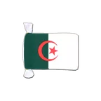 Guirlande fanion Algérie 15 x 22 cm