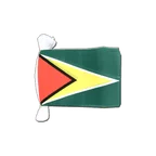 Guirlande fanion Guyana 15 x 22 cm