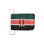 Kenya Flag Bunting 6x9", 9 m