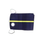 Nauru Flag Bunting 6x9", 9 m
