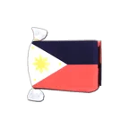 Guirlande fanion Philippines 15 x 22 cm