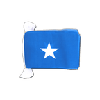 Somalia Flag Bunting 6x9", 9 m