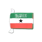 Somaliland Flag Bunting 6x9", 9 m