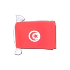 Tunisia Flag Bunting 6x9", 9 m