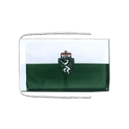 Steiermark Flagge 20 x 30 cm