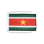 Suriname Flag with ropes 8x12"