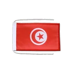 Tunisia Flag with ropes 8x12"