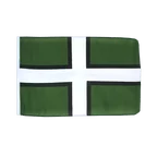 Devon Flagge 30 x 45 cm