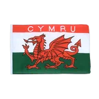 Wales CYMRU Flagge 30 x 45 cm