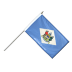 Delaware Stockflagge PRO 30 x 45 cm