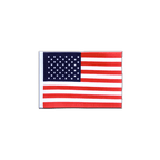 USA Mini Flag 4x6"
