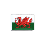 Wales Fähnchen 10 x 15 cm